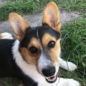 Meet your Posher, Brooke